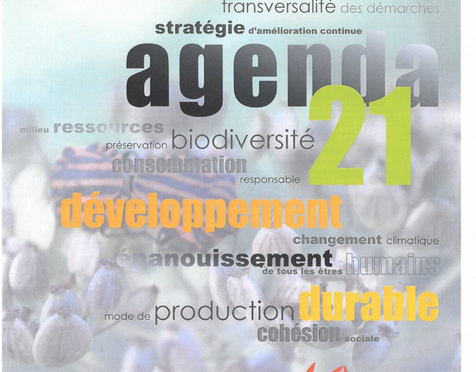 Agenda 21 projet de développement durable